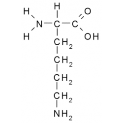 Лизин (L-Lysine)